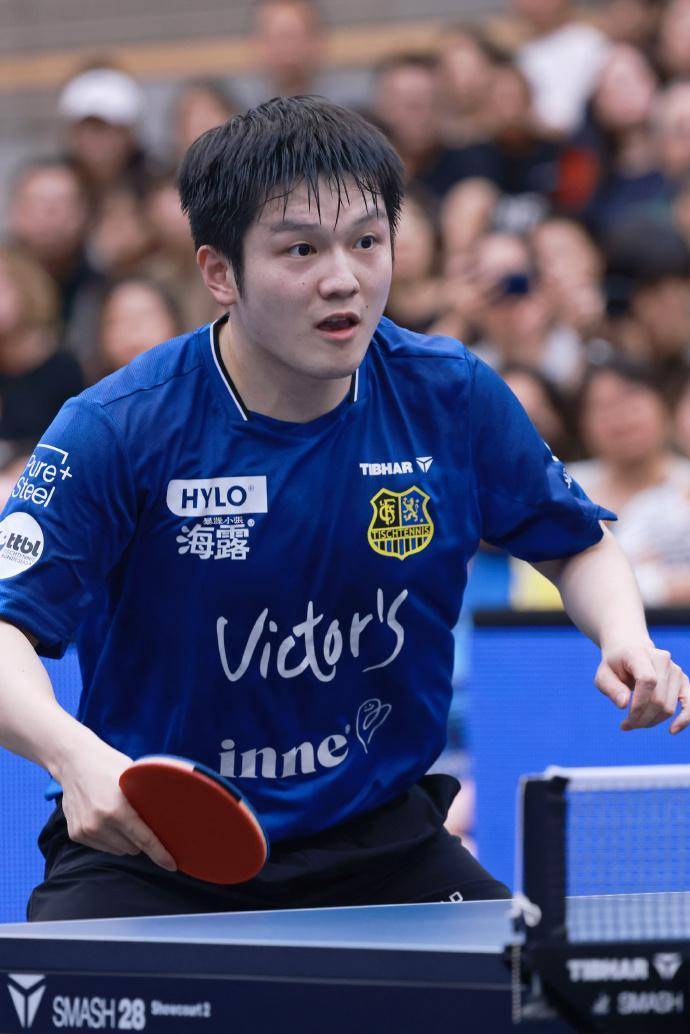 樊振东立功!德甲升至第三,距榜首仅差2分 樊振东立功!德甲升至第三,距榜首仅差2分